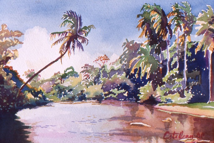 Costa Rican Lagoon  14x20